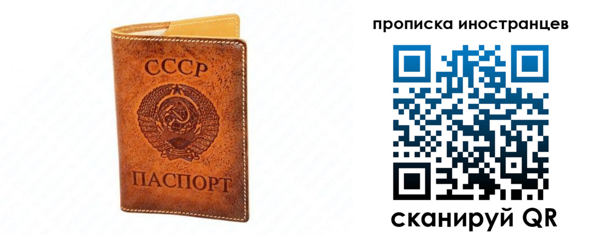 прописка для школы в Змеиногорске